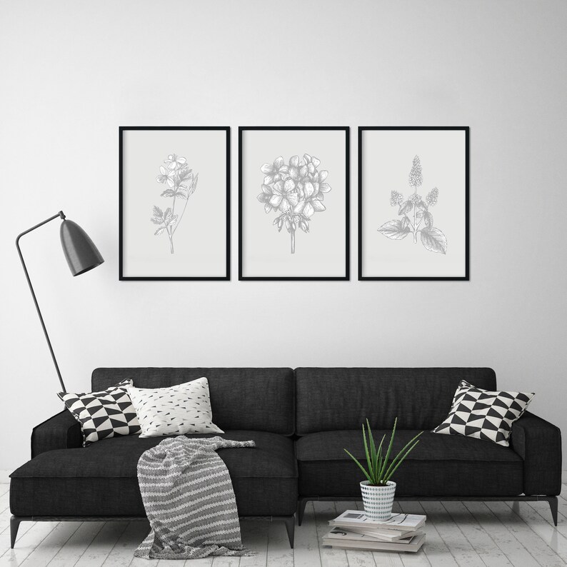 May include: Three black framed prints of botanical illustrations in shades of gray, hanging on a white wall above a black sofa with pillows and a potted plant.