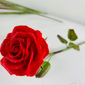 May include: A single red rose with green leaves and stem. The rose is in focus and the stem is out of focus.