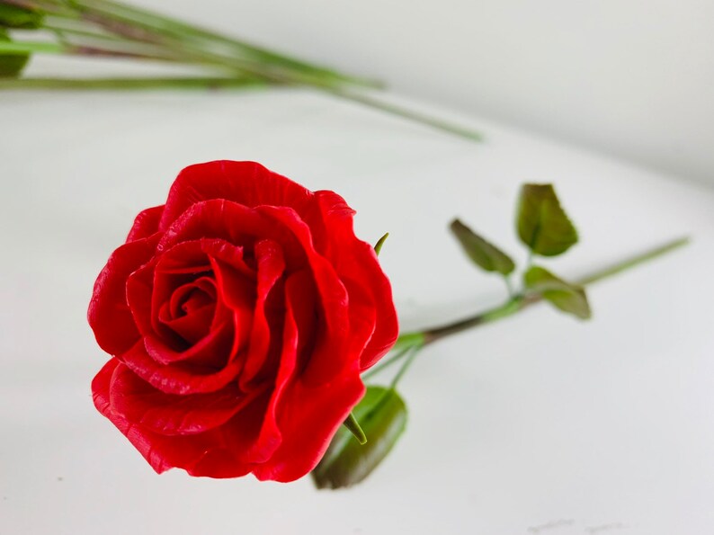 May include: A single red rose with green leaves and stem. The rose is in focus and the stem is out of focus.