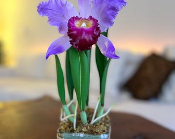 ORCHID CLAY FLOWER, Flower Arrangement, Cold Porcelain Clay Purple Cattleya Orchid Arrangement Perfect For Bedroom Decor, Table Décor Flower