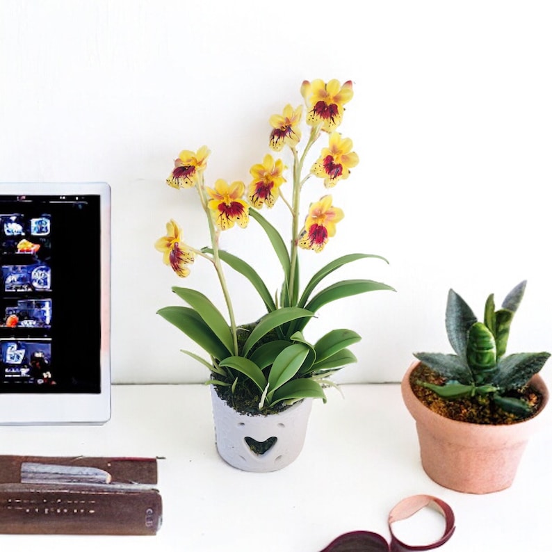 May include: A yellow and red orchid plant in a white ceramic pot with a heart cutout. The plant is sitting on a white surface next to a book and a small potted succulent.