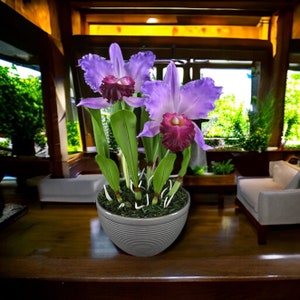 ORCHID CLAY FLOWER, Flower Arrangement, Decorative Cattleya Flower For Table Décor, Cold Porcelain Orchid Flower Arrangement With Vase