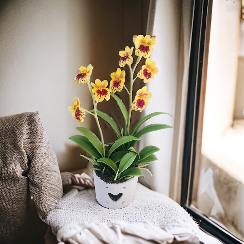 May include: A yellow and red orchid plant in a white ceramic pot with a heart-shaped cutout. The plant is sitting on a white crocheted surface.