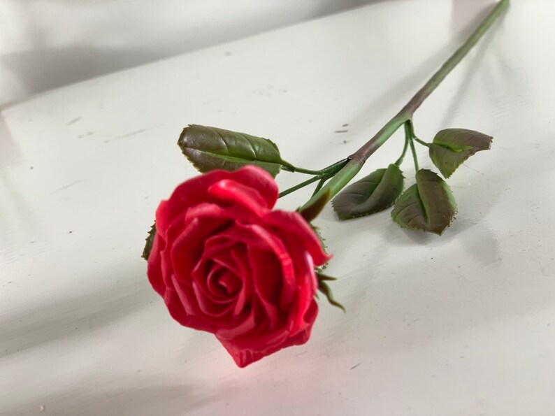 May include: A single red rose with green leaves on a white background.