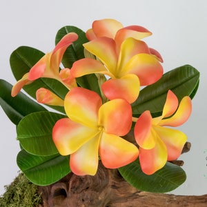 Plumeria Clay Flower,Real touch flower, Cold Porcelain Clay flower,flower arrangement,gift for her, Gift for Mom