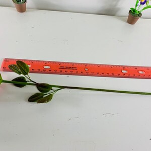May include: A single red rose with green leaves and stem, measured against a ruler. The rose is approximately 12 inches long.