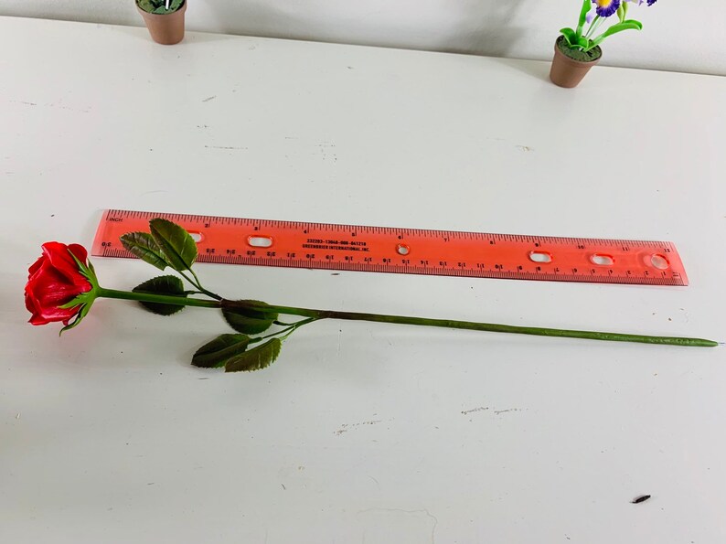 May include: A single red rose with green leaves and stem, measured against a ruler. The rose is approximately 12 inches long.