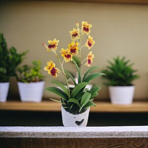 May include: A yellow and maroon orchid plant in a white ceramic pot with a heart-shaped cutout. The plant is sitting on a wooden shelf with other potted plants.