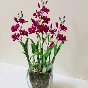 FLOWER ARRANGEMENTS, CUTE Dried Flowers, Polymer Clay Dendopuim Orchid Flowers With Stem, Cold Porcelain Clay Flowers Housewarming Gift
