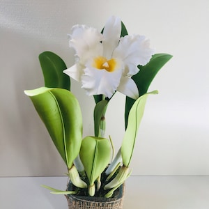 ORCHID CLAY FLOWER, Memorial Day Flowers, Cold Porcelain Clay White Cattleya Orchid Arrangement With Stem, Decorative Flowers For Wedding