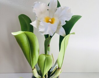 ORCHID CLAY FLOWER, Memorial Day Flowers, Cold Porcelain Clay White Cattleya Orchid Arrangement With Stem, Decorative Flowers For Wedding