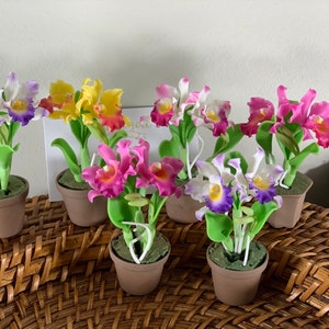 Miniature orchid flowers arrangement , clay flowers , cold porcelain clay flower , orchid , doll house