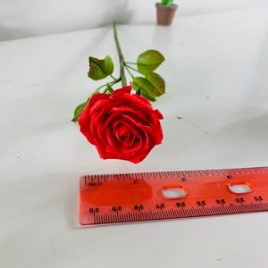 May include: A single red rose with green leaves and a stem. The rose is about 2 inches in diameter and is lying on a white surface. A red ruler is in the bottom of the image.