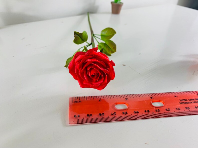May include: A single red rose with green leaves and a stem. The rose is about 2 inches in diameter and is lying on a white surface. A red ruler is in the bottom of the image.