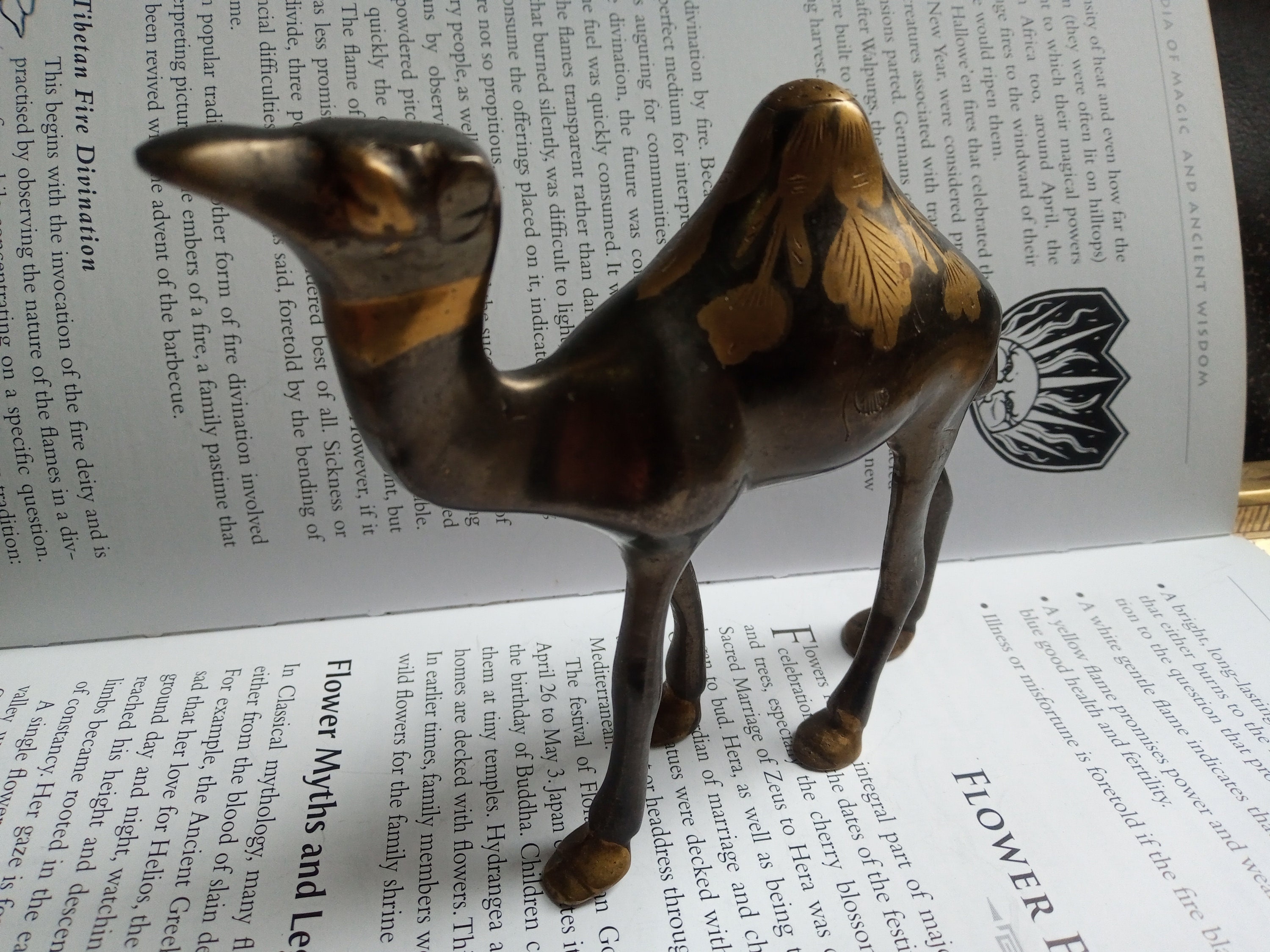 Vintage brass camel ornament camel spirit animal camel totem Etsy