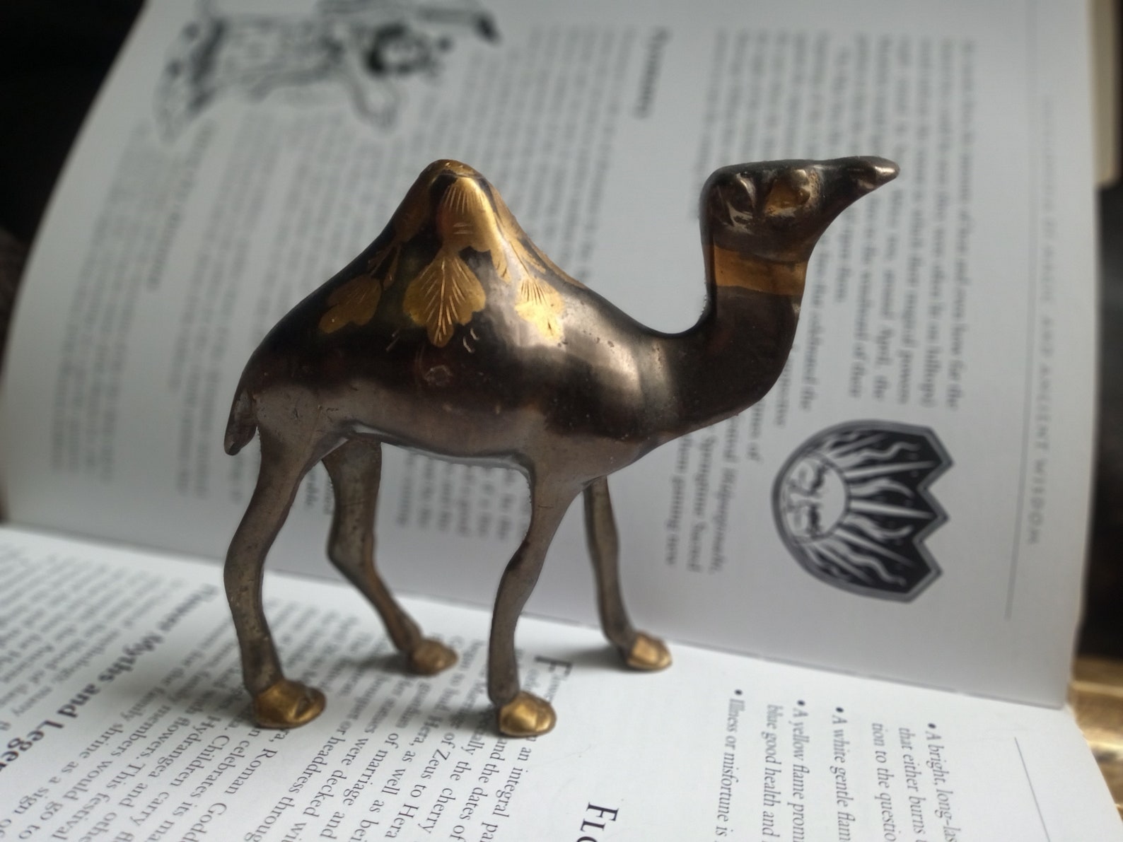 Vintage brass camel ornament camel spirit animal camel totem Etsy
