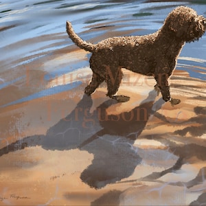 Puede incluir: Un perro Lagotto Romagnolo marrón se encuentra de pie en aguas poco profundas con su reflejo visible en la arena. El perro está mirando hacia la derecha de la imagen.