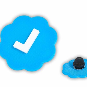 May include: A light blue pin shaped like a cloud with a white checkmark. The pin has a black rubber backing. A smaller version of the pin is also shown.