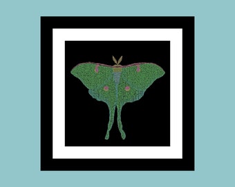 Luna Moth - MOTHS OF PENNSYLVANIA - Award Winner signed original art print