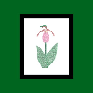 Limited Edition - WILDFLOWERS OF PENNSYLVANIA Pink Lady Slipper signed original art print
