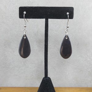 May include: A pair of dark, smooth, teardrop-shaped earrings suspended from silver-toned metal fishhook wires. The earrings feature a polished, solid black finish with a single hole at the top for the jump ring connection to the ear wire.