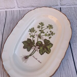 Old oval dish for vegetables meat/ADP Alchemilla vulgaris Botany France Haute Provence image 3