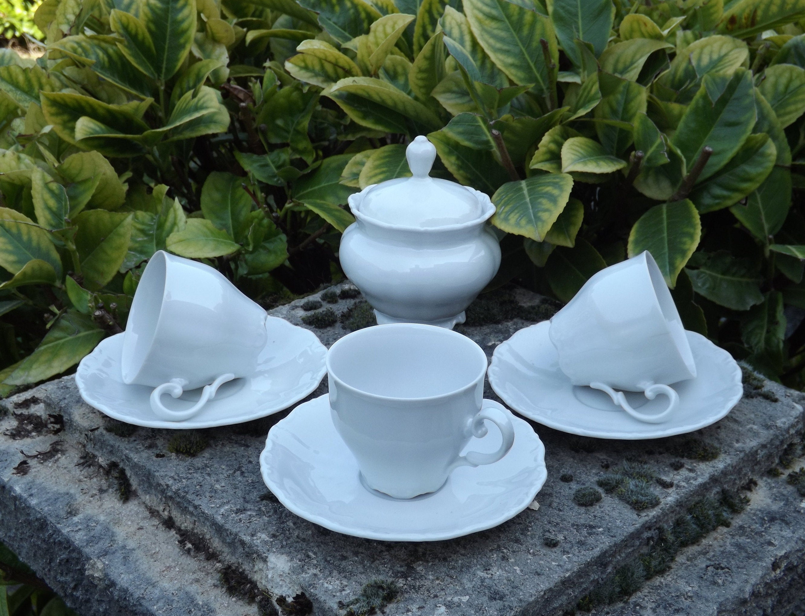 Lot de 3 Tasses Porcelaine avec Soucoupes et Un Sucrier Seltmann Weiden Bavaria W.germany 9