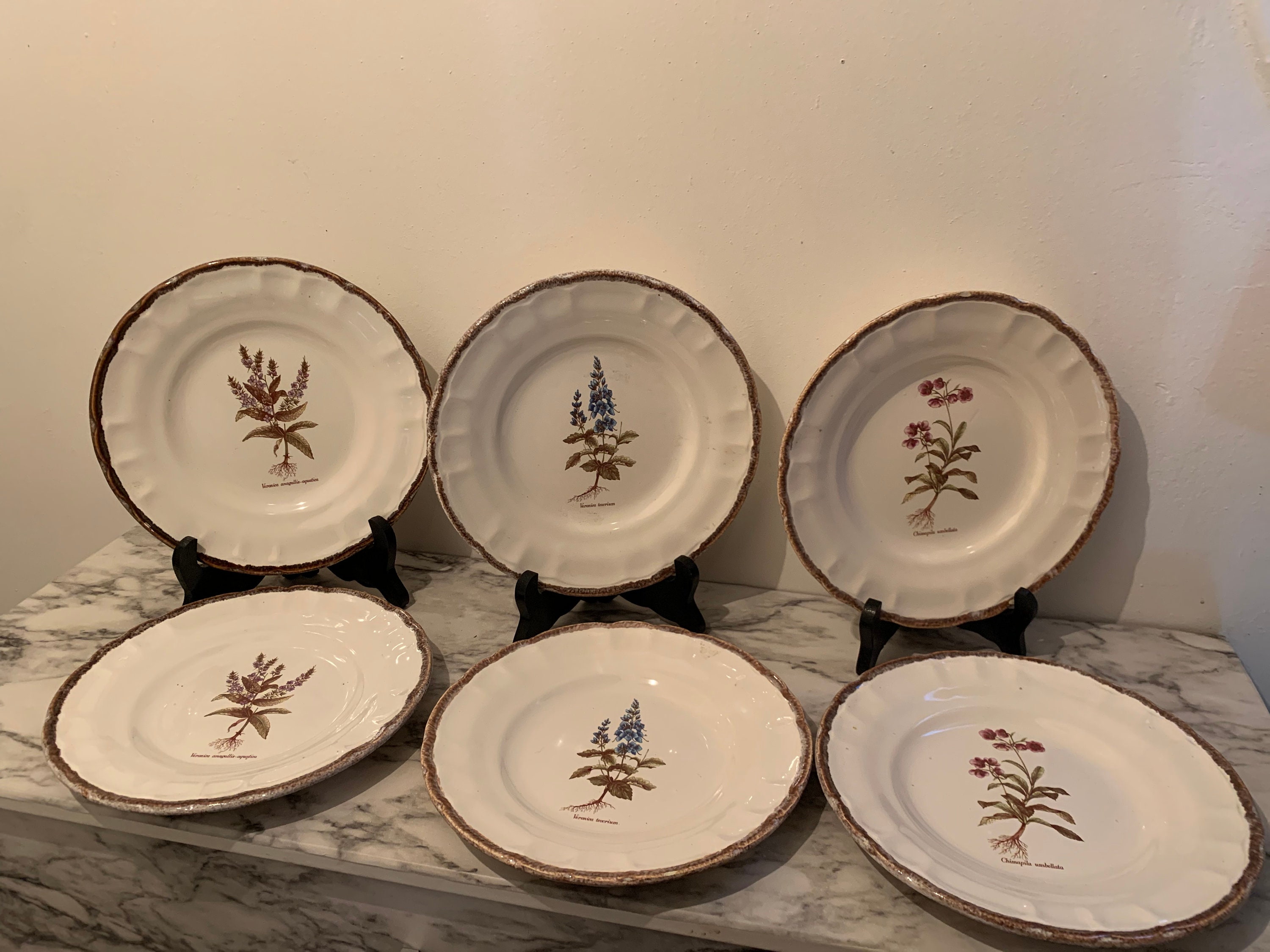 Terre provence - Etsy 日本