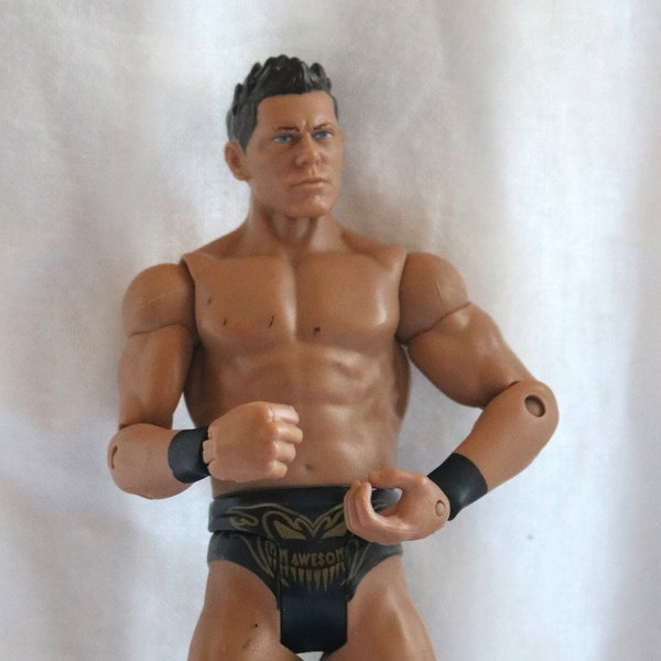 The Miz, Mattel, WWE, Wrestling Figure Only, Awesome, Action Figure