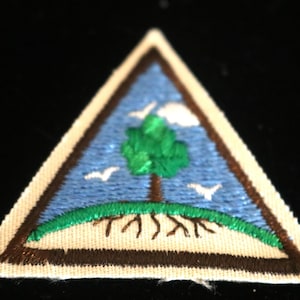 May include: A triangular Girl Scout patch with a brown border. The patch features a blue sky with white clouds and a green tree with brown roots. The text "Take" is embroidered on the ground below the tree.