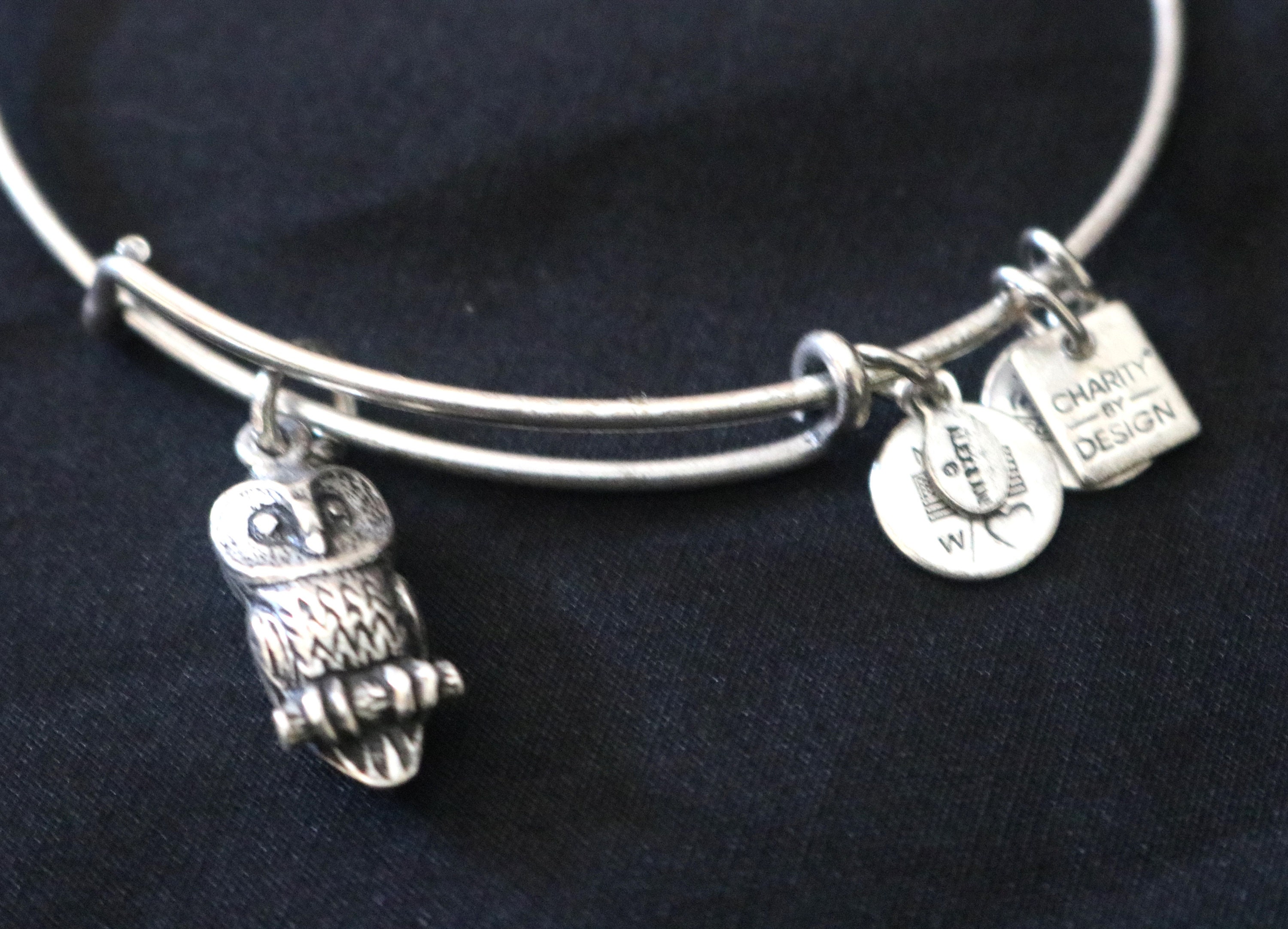 Alex and Ani, Ode to the Owl, Charity By Design, Rafaelian Silver Charm, Bangle Bracelet