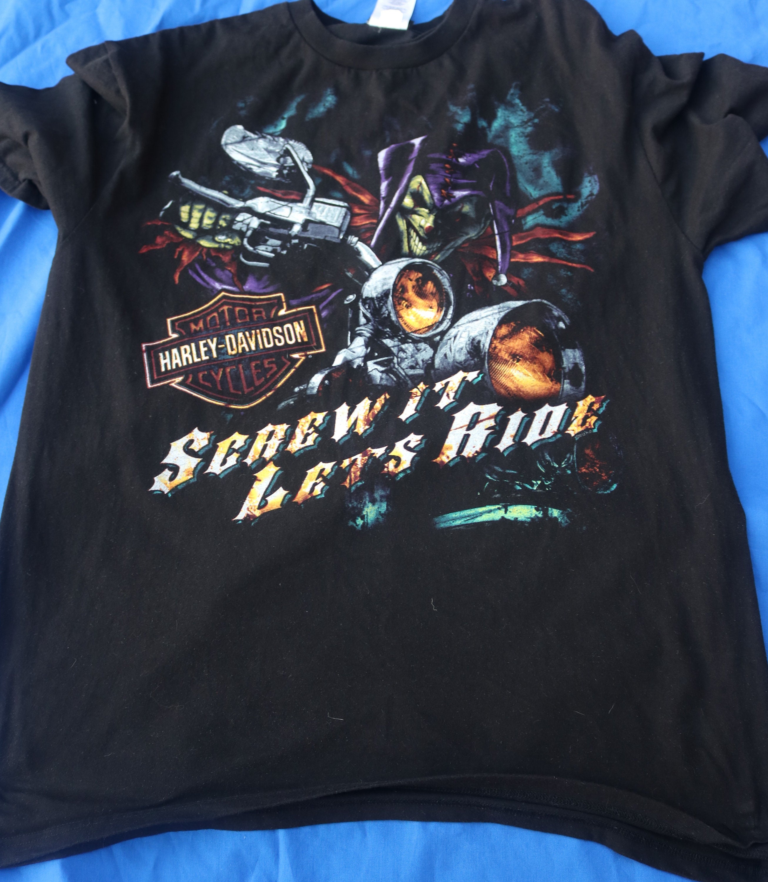 Harley Davidson/ Motorcycle/ Screw It, Lets Ride/ Harley Davidson