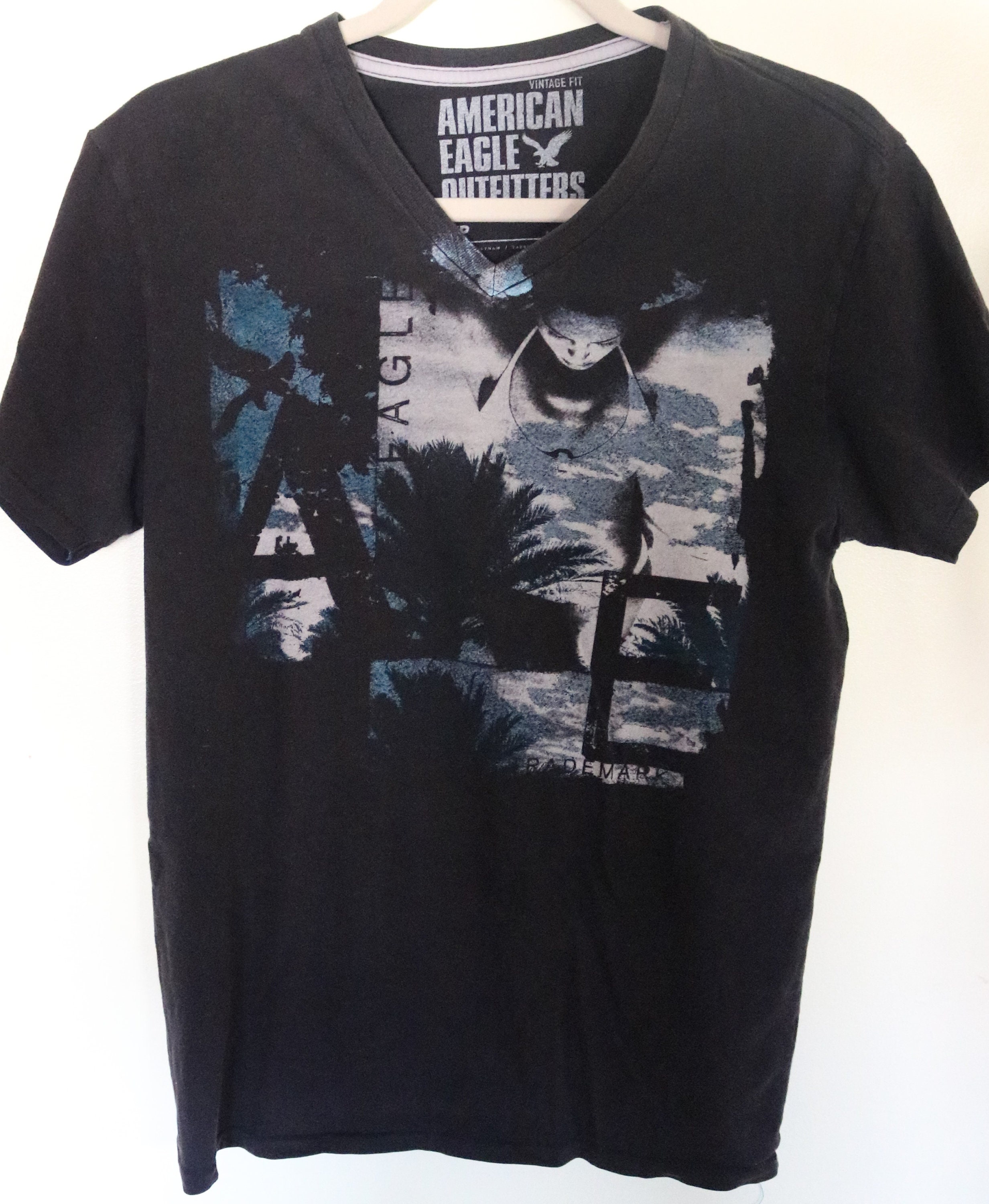 American Eagle Outfitters/ Womens SP Graphic Tee/ V-neck