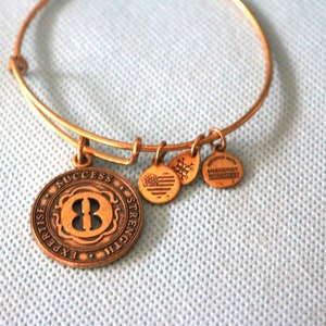 Alex and ani numerology bracelet best sale