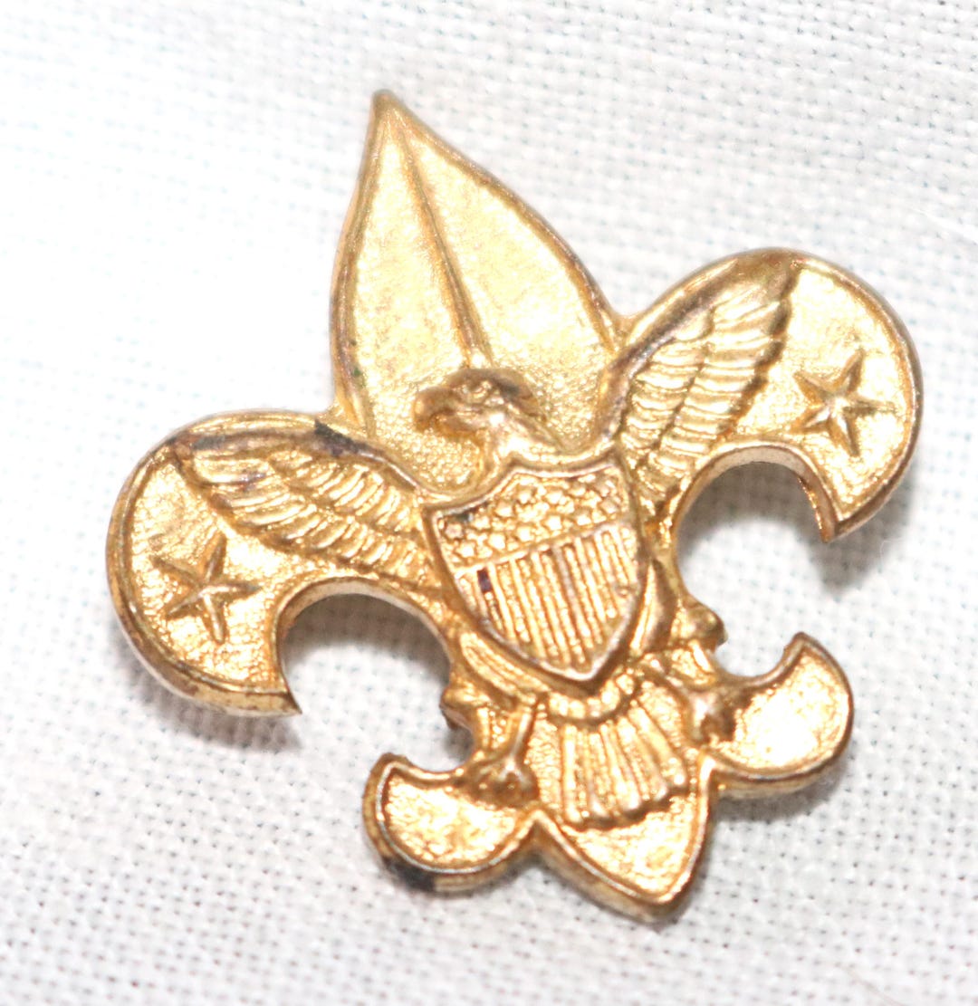 Vintage, BSA Boy Scout Pin, Fleur De Lis, Eagle Crest, Latch Clasp ...