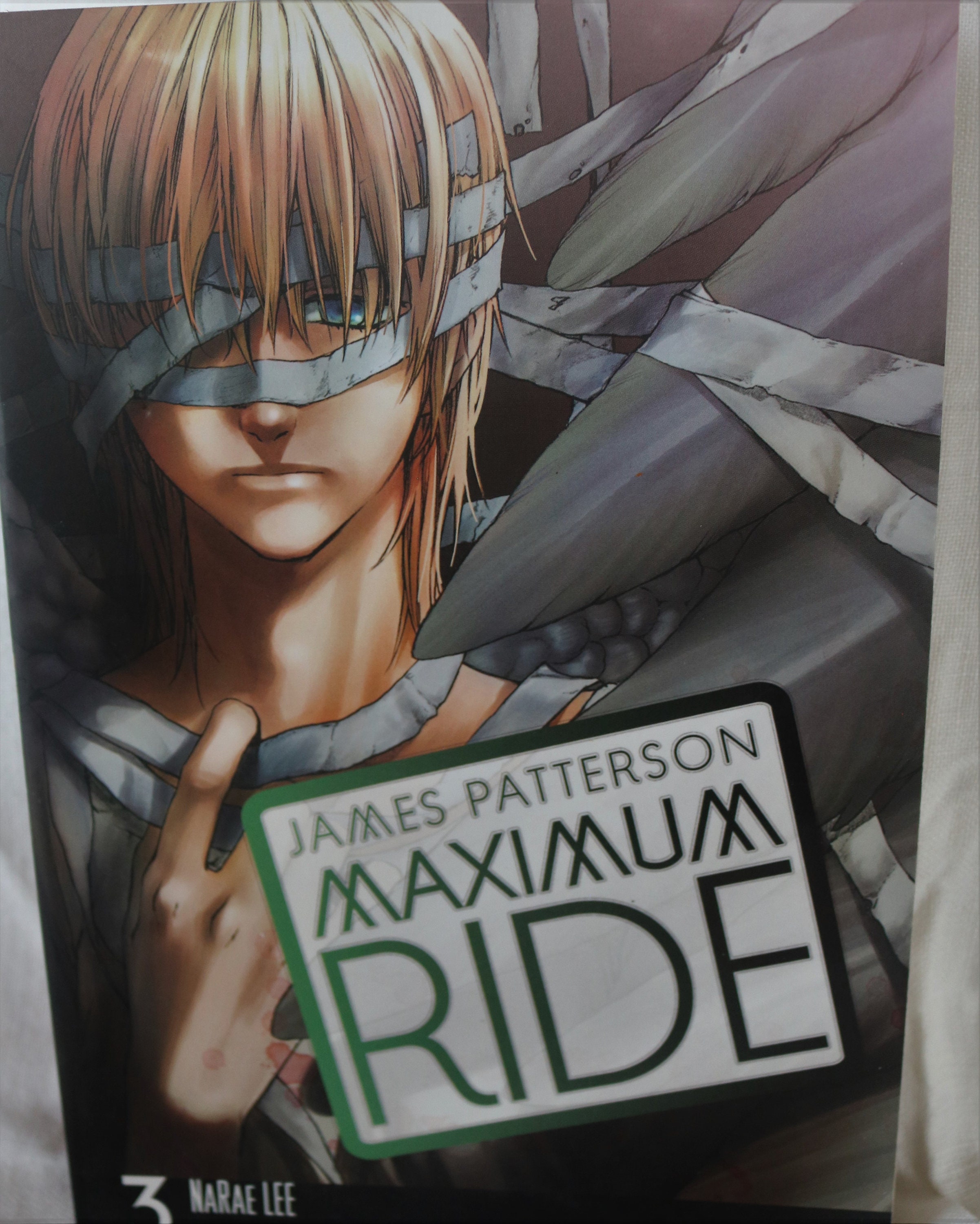 James Patterson/ Maximum Ride/ Book 3/ Paperback Book/ Comic/scholastic  Edition/ Manga - Etsy