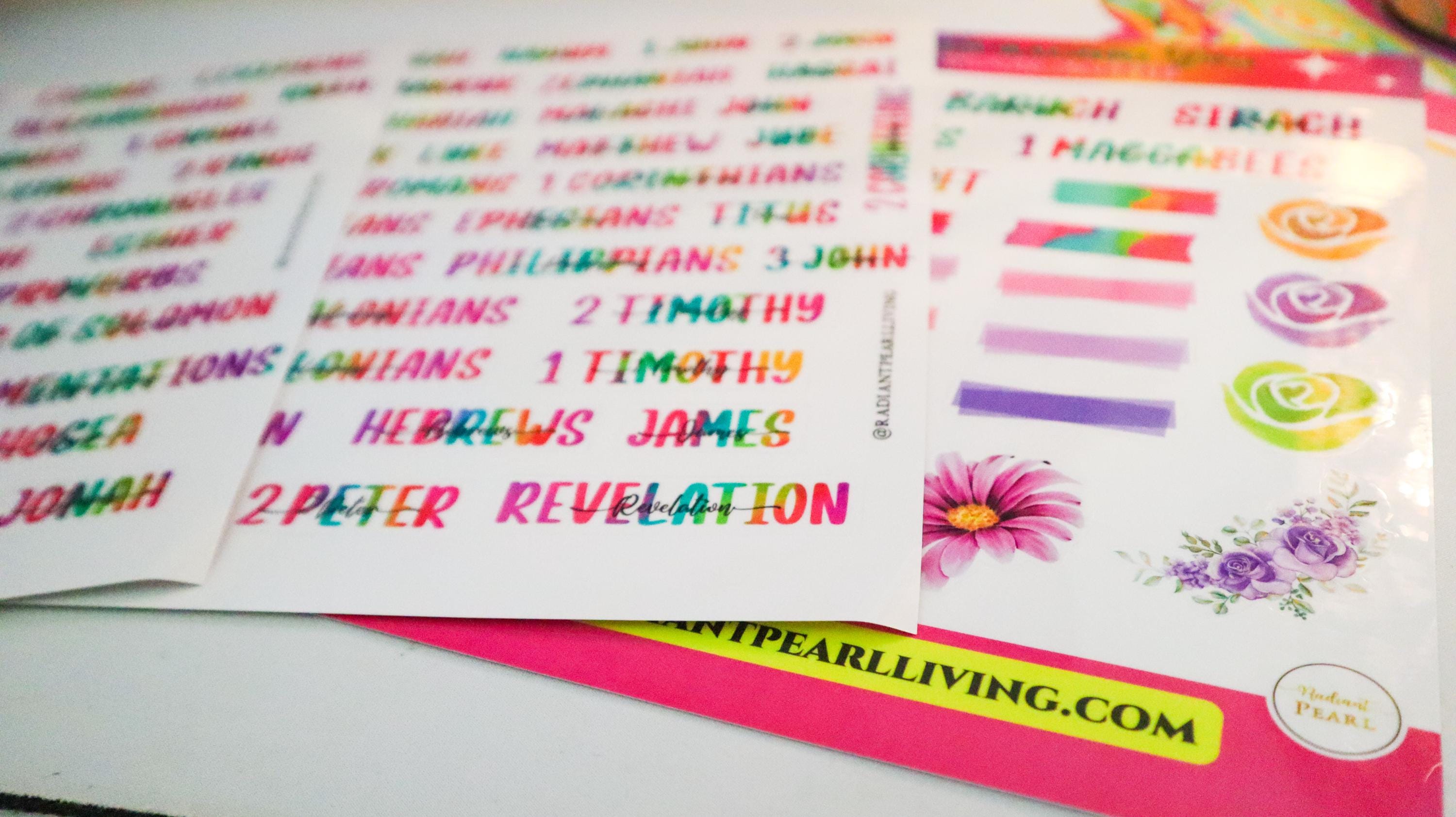 Books of the Bible Header Clear Vinyl Sticker Labels| Catholic Colorful ...