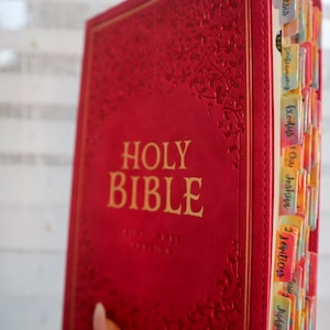 Stunning Pink KJV Holy Bible with Ombre Tabs , Thinline Bible with Bible Tabs Faux Leather