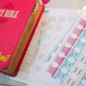 May include: A pink Holy Bible with gold lettering and a set of colorful Bible tabs. The Bible cover has the words "HOLY BIBLE" and "Lady Stacy Zant" printed on it. The tabs are in various colors with words like "Faith" and "Peace".