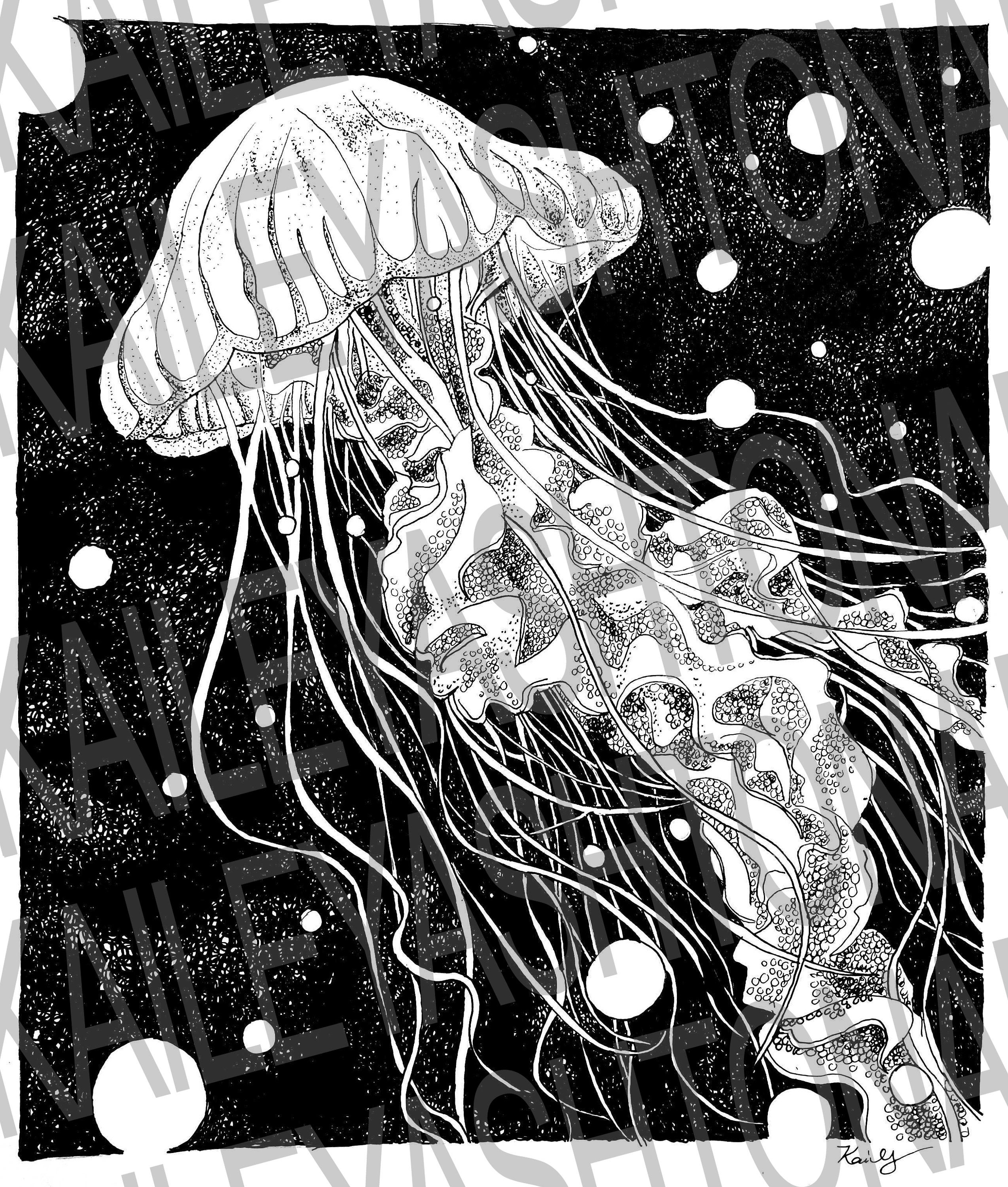 Jellyfish Ink Drawing Giclee Physical Artist Print 8.5X11 Etsy