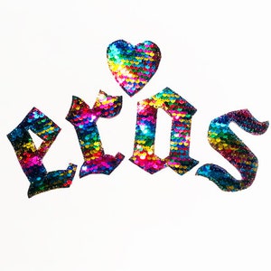 Puede incluir: Parche de lentejuelas arcoíris para planchar con la palabra "erds" en letras góticas y un corazón de lentejuelas arcoíris.