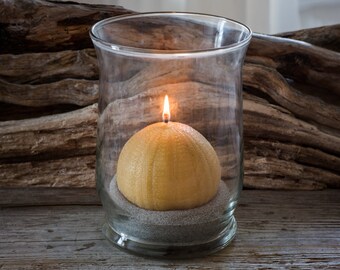 Coastal Sea Urchin Beeswax Candle Large