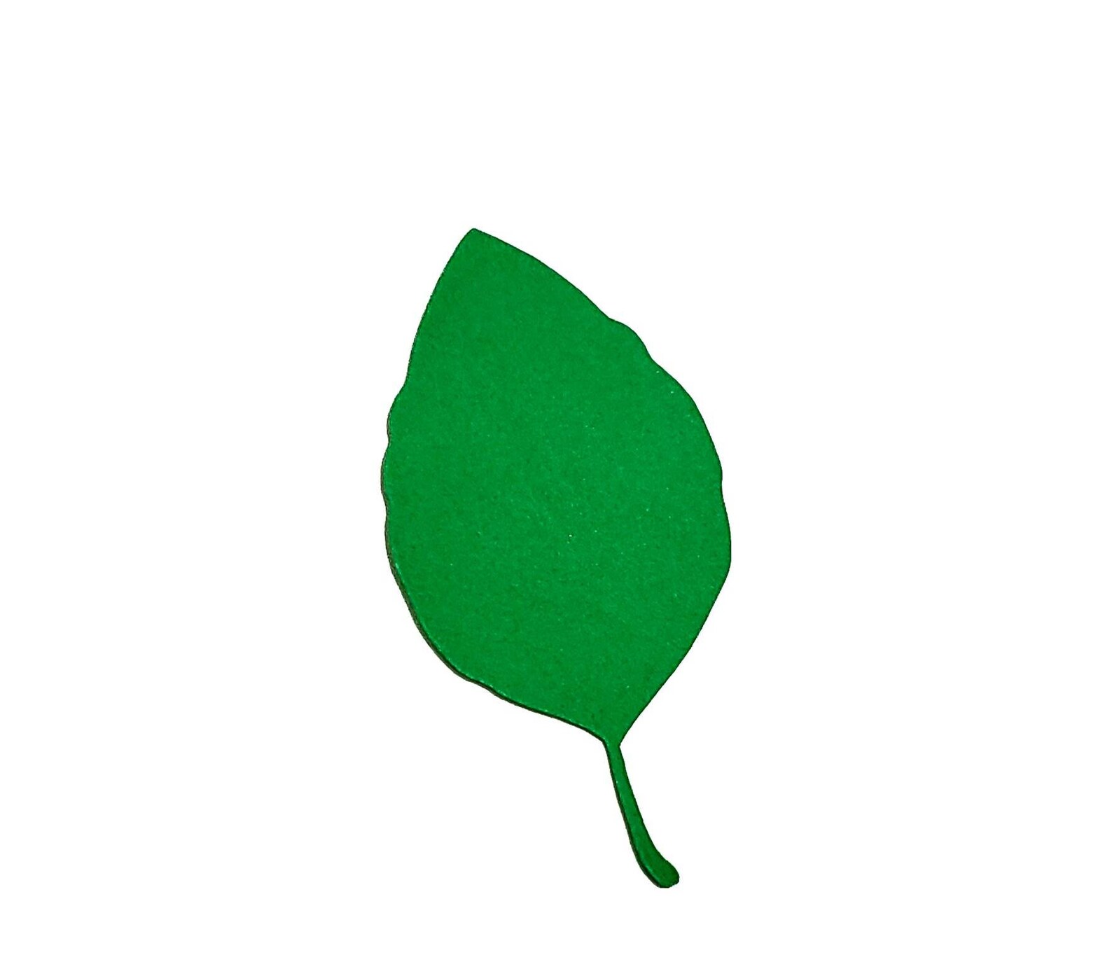 Leaf Template Cut Out