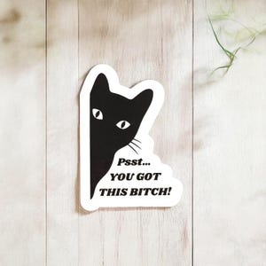 Funny Cat Sticker | You Got This Bitch Decal | Cute Sarcastic Cat Peek Vinyl | Laptop Cup Tumbler Sticker | Mental Health Gift