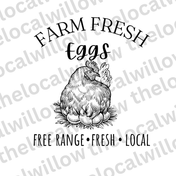 Farm Fresh Eggs Chicken PNG, Chicken and Eggs PNG, farm PNG, farm Digital File, Farm fresh eggs chicken with eggs png. Instant Download