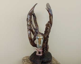 Sculpture Wood Lamp,Unique Driftwood Table Lamp,Sculpture Driftwood Art,Coastal,Tropical,Farmhouse,Livingroom decor,Home and Living,Art Deco