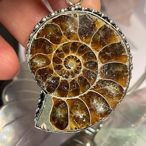 Op de afbeelding: Een hanger met een gepolijst ammonietfossiel, gevat in een zilverkleurige metalen setting. Het fossiel toont een spiraalpatroon met tinten bruin en amber. De hanger heeft een kleine lus aan de bovenkant voor een ketting.