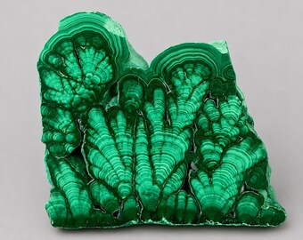 May include: A raw malachite mineral specimen featuring vibrant shades of deep and forest green. The stone displays a distinct botryoidal growth pattern with concentric, banded circular layers that create a complex, fan-like texture across the surface.