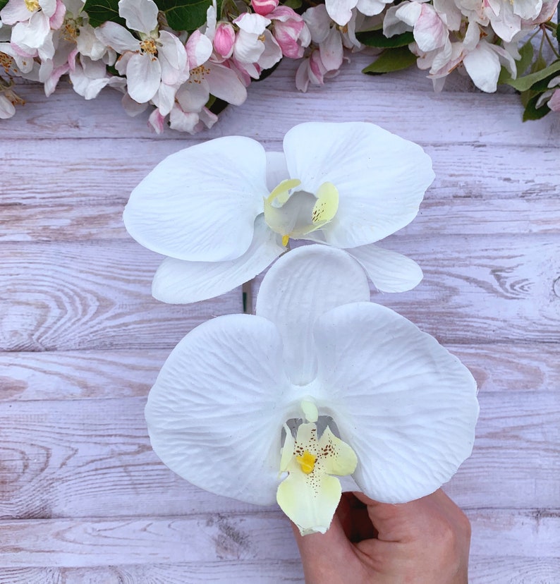 Puede incluir: Dos flores de orqu&iacute;dea blancas con centros amarillos sobre un fondo de madera blanca.