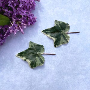 Puede incluir: Dos horquillas para el pelo con forma de hojas de hiedra verdes y blancas con horquillas marrones, junto a un racimo de flores de lilas moradas. Los accesorios para el pelo están sobre un fondo azul claro texturizado.